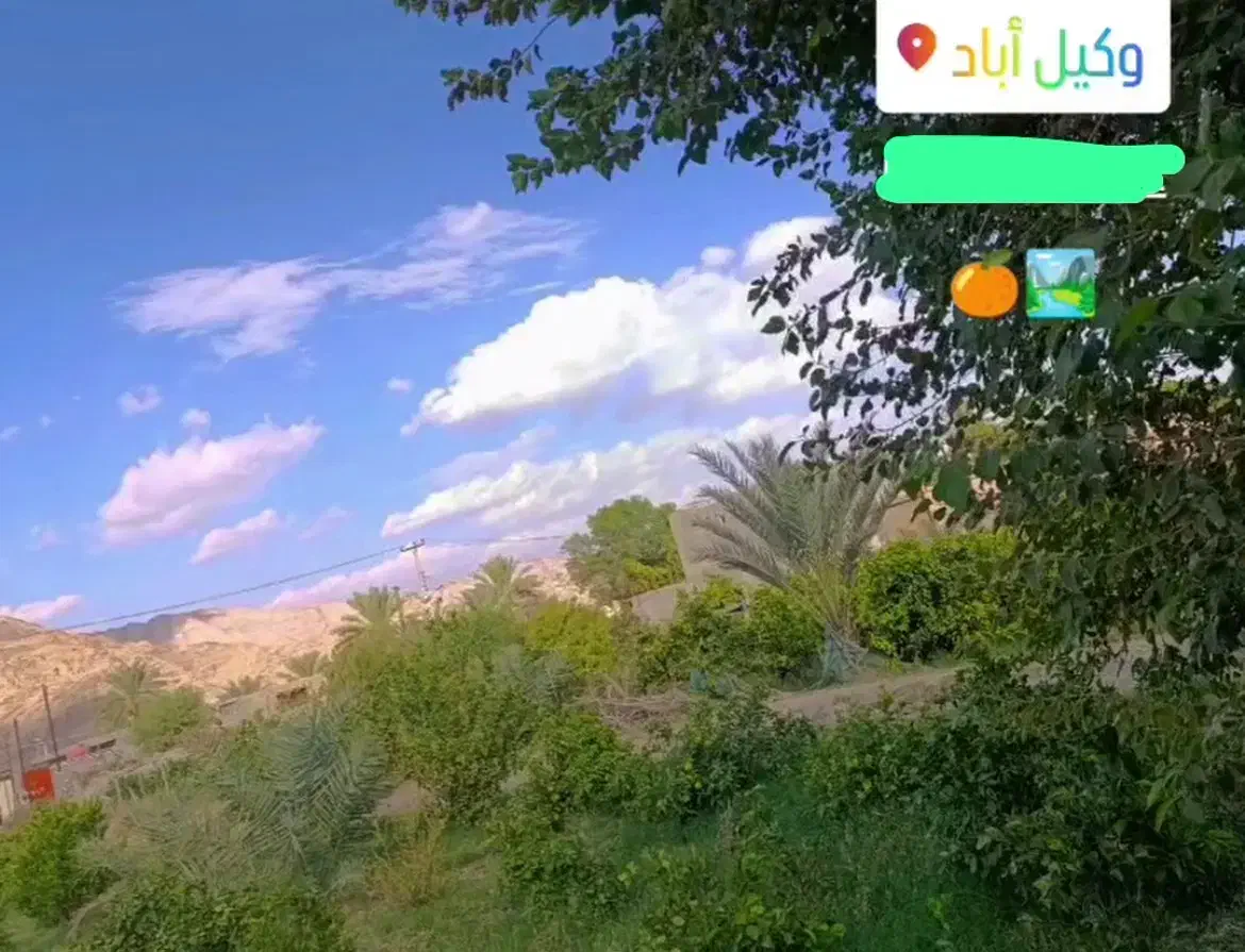 باغچه و خانه|فروش زمین و ملک کلنگی|ارزوئیه, |دیوار