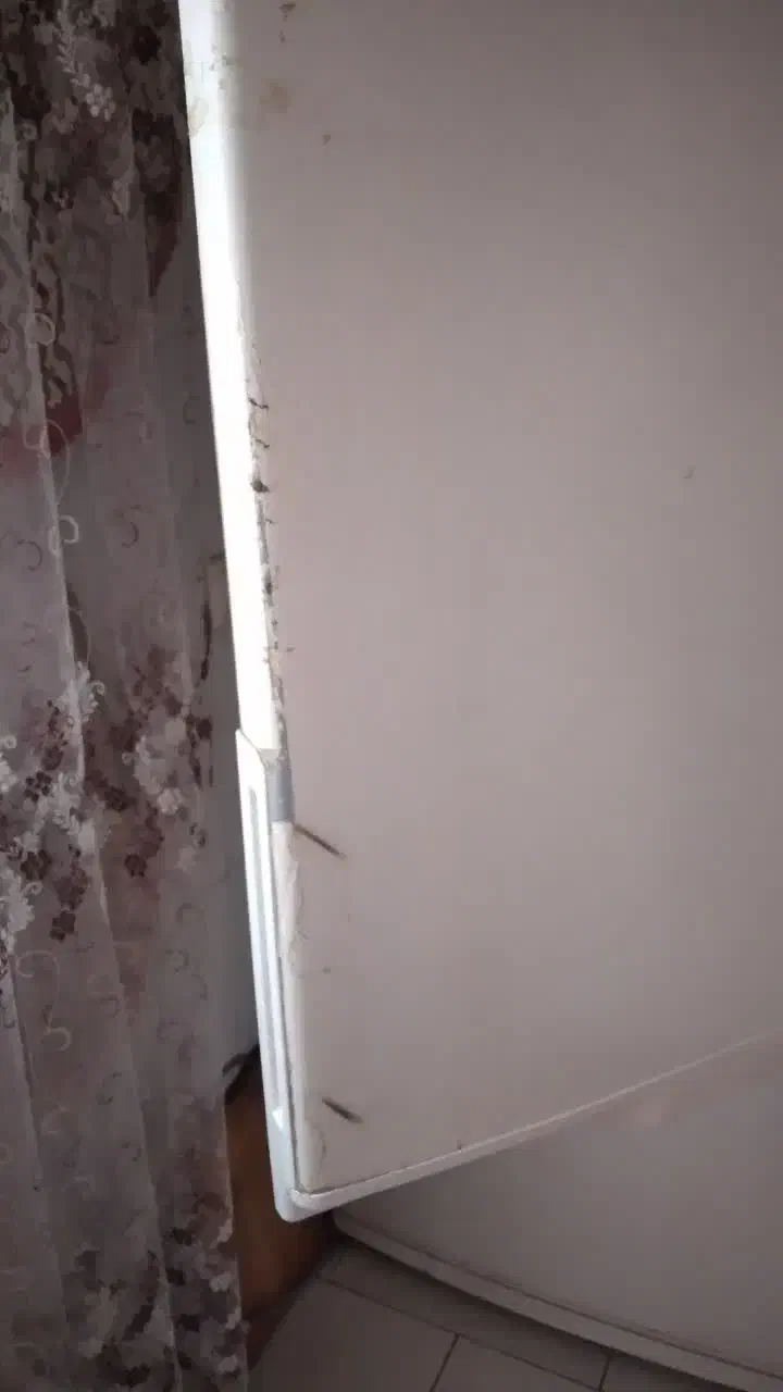 یخچال اسنوا|یخچال و فریزر|شهریار, شهرک شاهد|دیوار