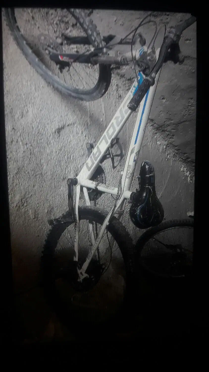 دوچرخه ۲۴|دوچرخه، اسکیت، اسکوتر|پلدختر, |دیوار