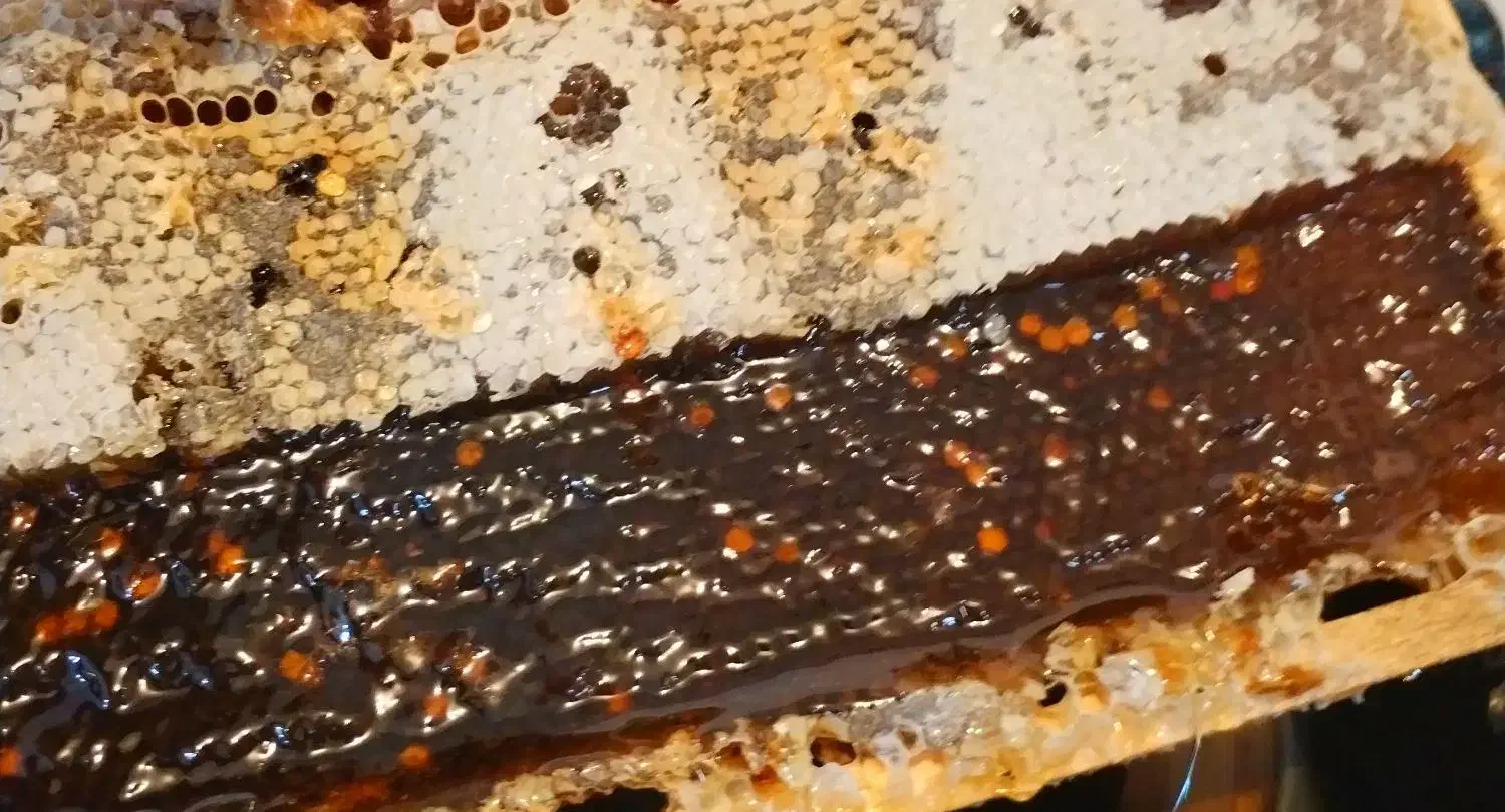 عسل ساکارز یک با ضمانت مرجوعی و ازمایش|خوردنی و آشامیدنی|بابا حیدر, |دیوار