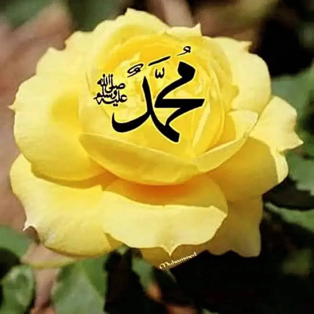 فروش فیش حج تمتع  برای امسال 200 میلیون تومان|تور و چارتر|جهرم, |دیوار