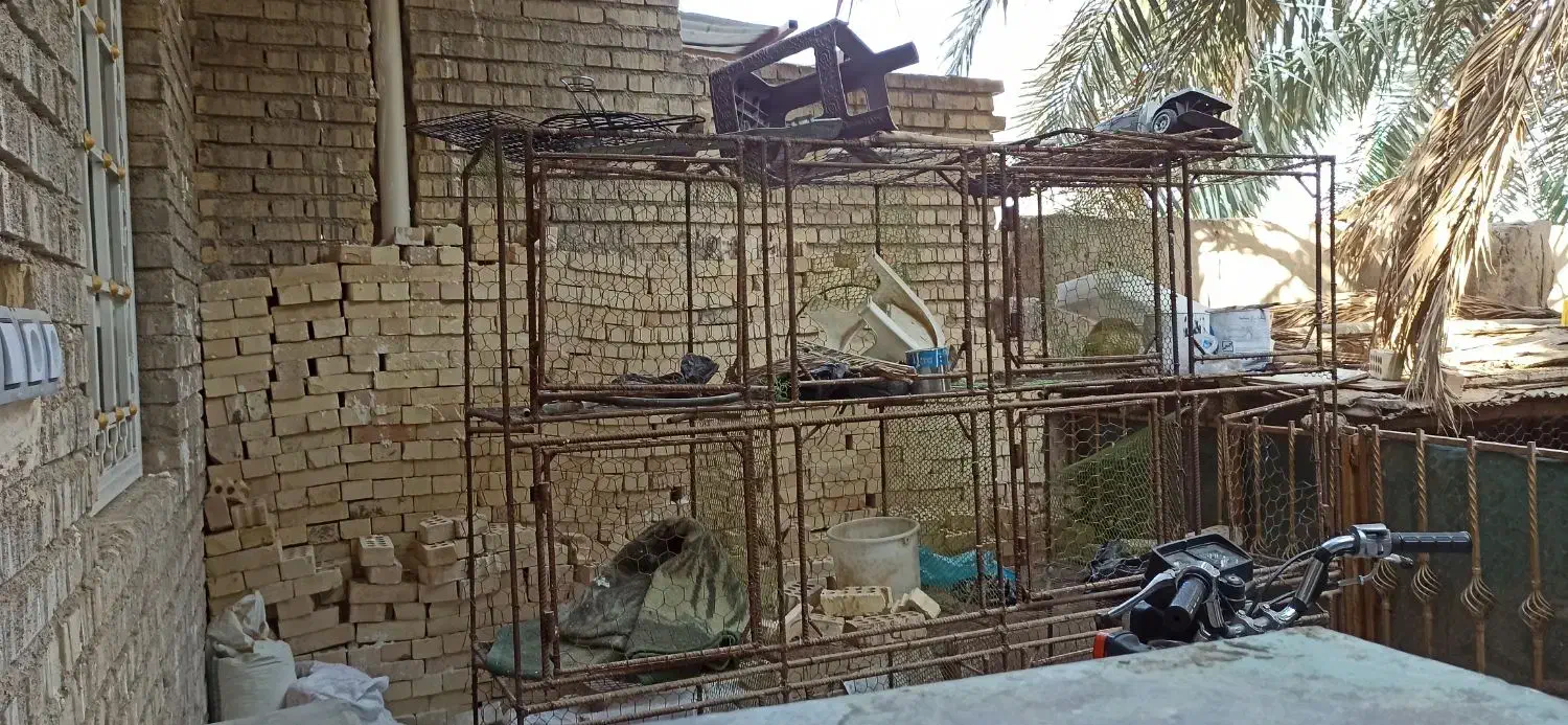 قفس پرنده|لوازم جانبی حیوانات|سوسنگرد, |دیوار