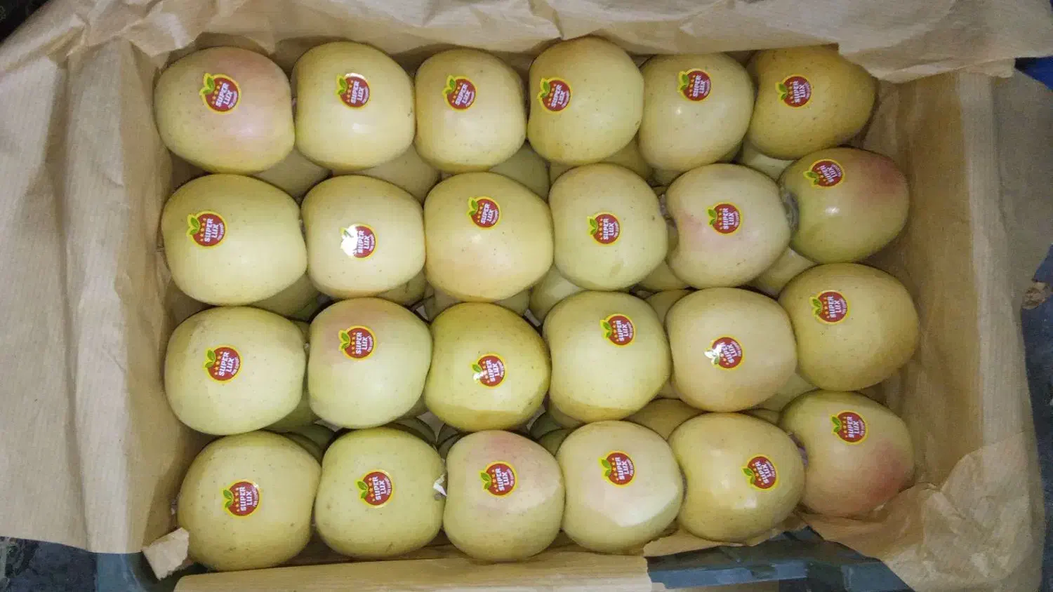 سیب دو ردیف|خوردنی و آشامیدنی|سیلوانه, |دیوار