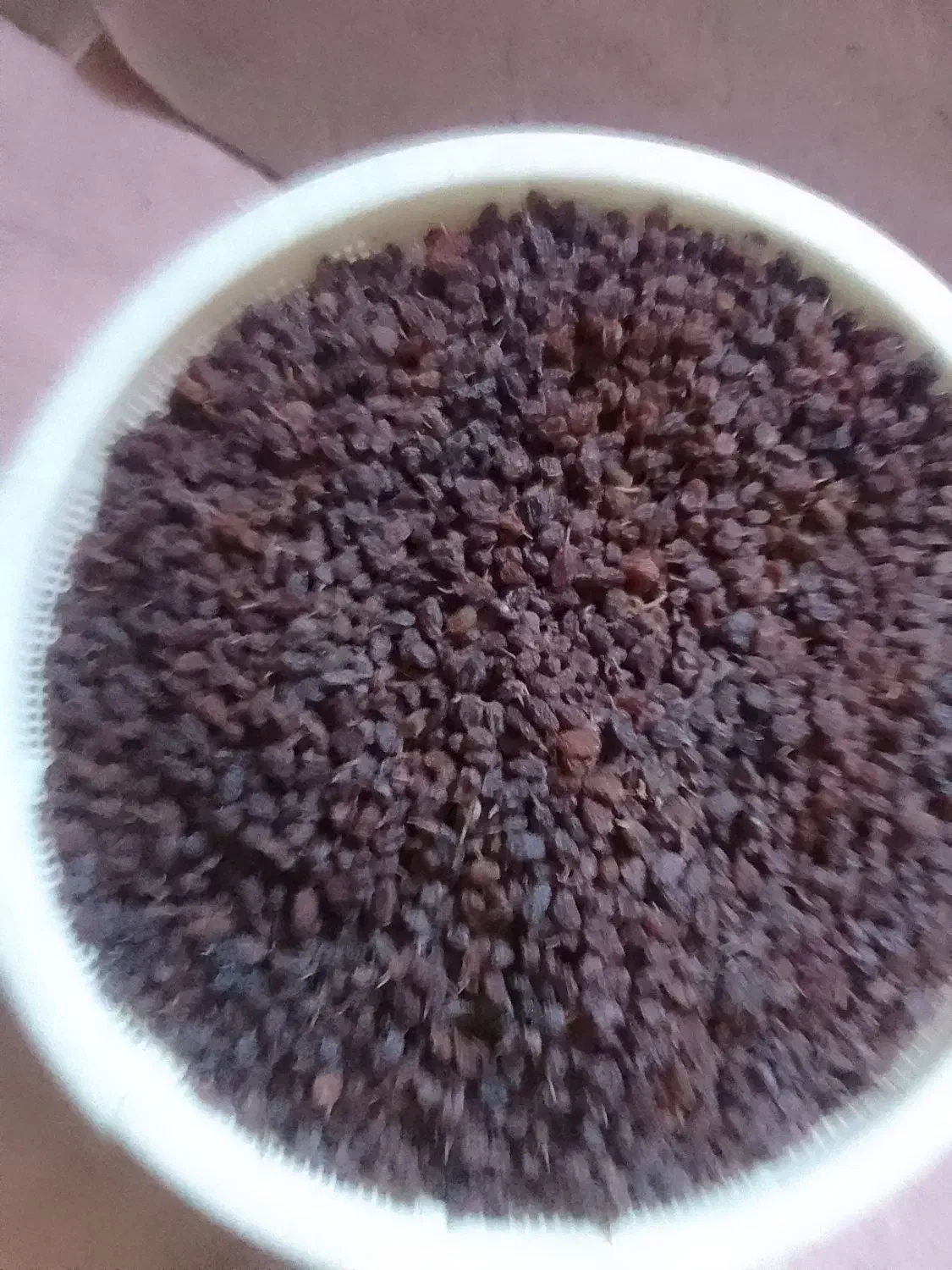 کشمش خوب و تمیز برای فروش|عمدهفروشی|لیلان, |دیوار