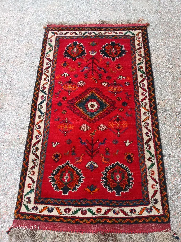 فرش دستبافت قدیمی که با حساسیت نگه داری شده|فرش|مرودشت, نقش رستم|دیوار