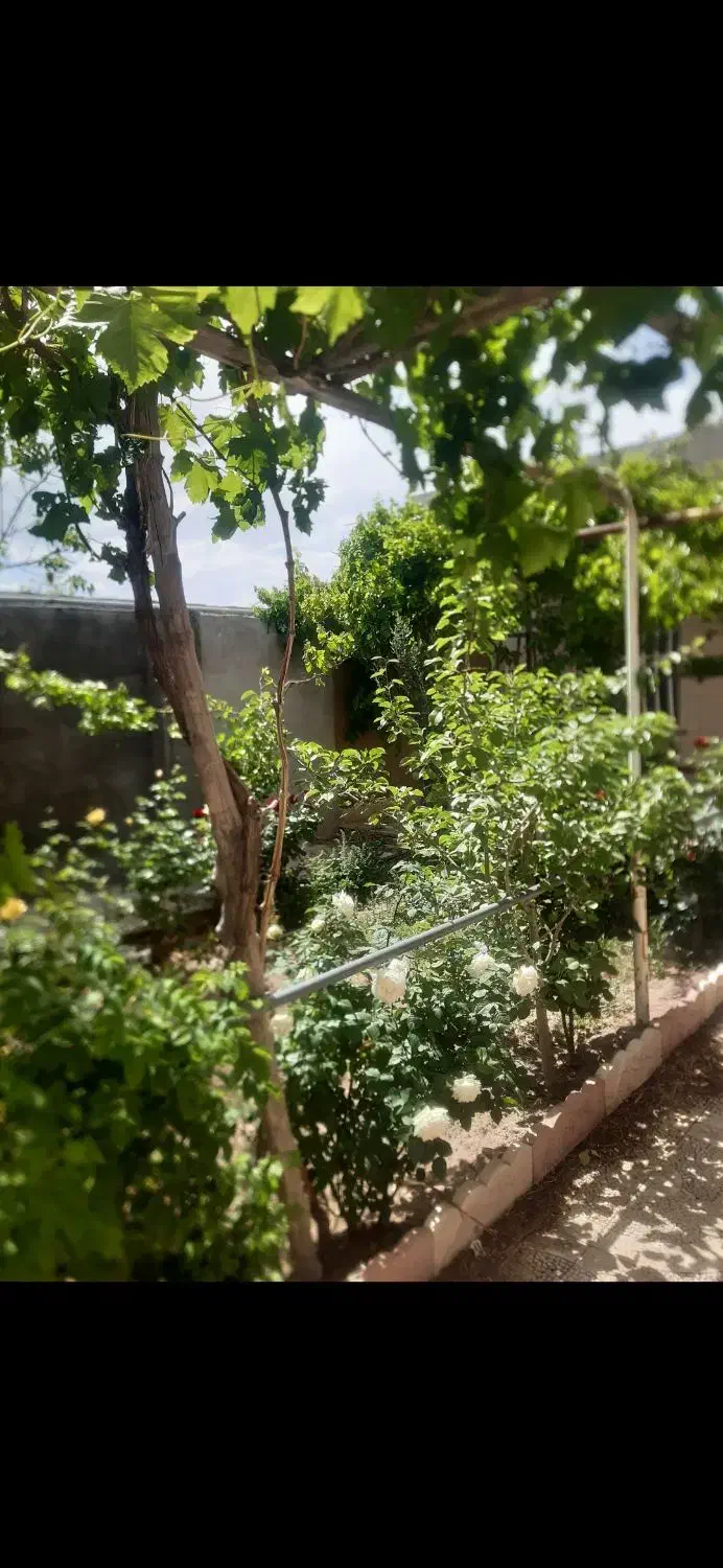 اجاره خانه ویلایی در گلزار قریت العرب|اجارهٔ خانه و ویلا|بردسیر, |دیوار