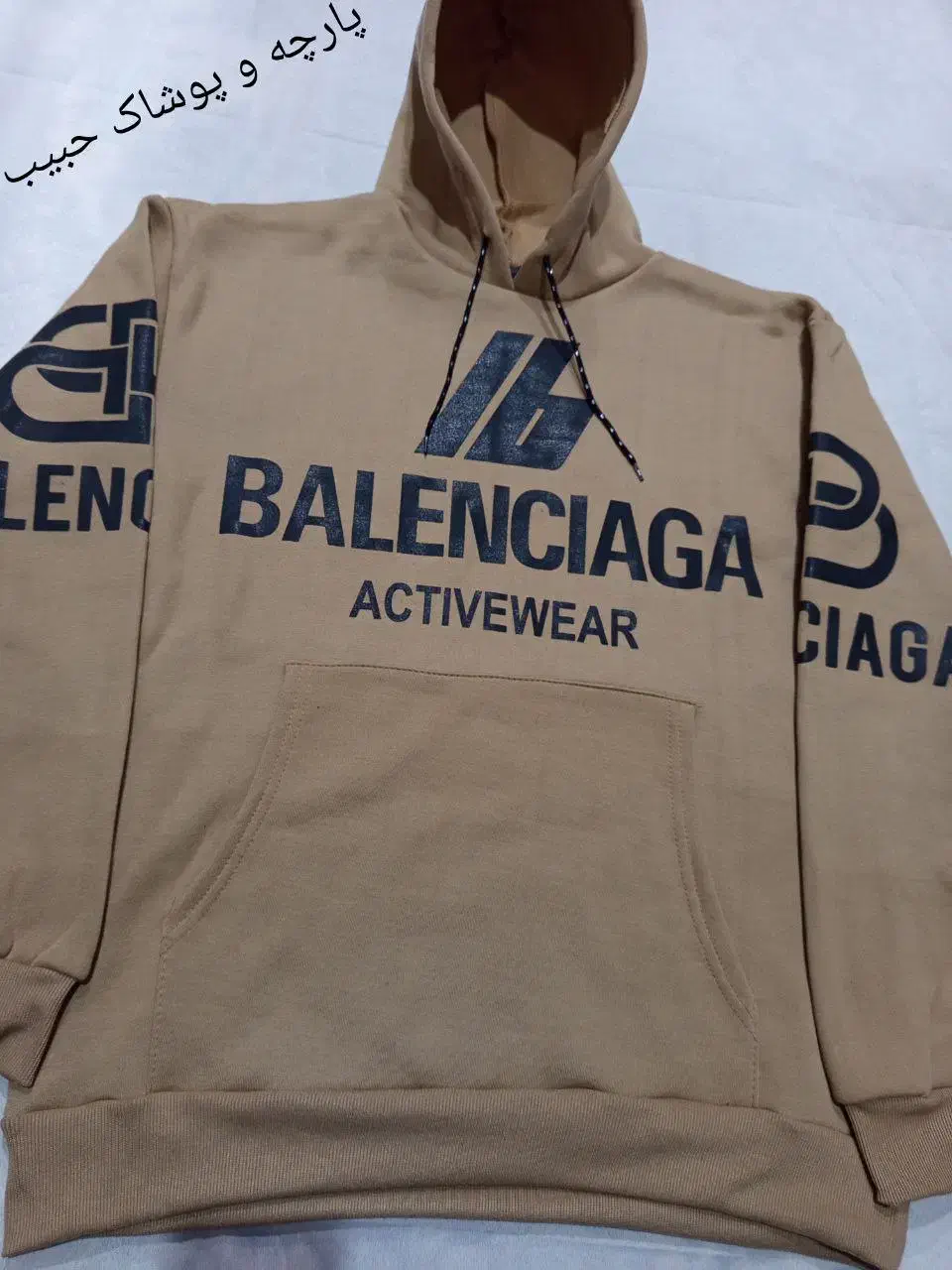 غاز|پرنده|سرپل ذهاب, |دیوار