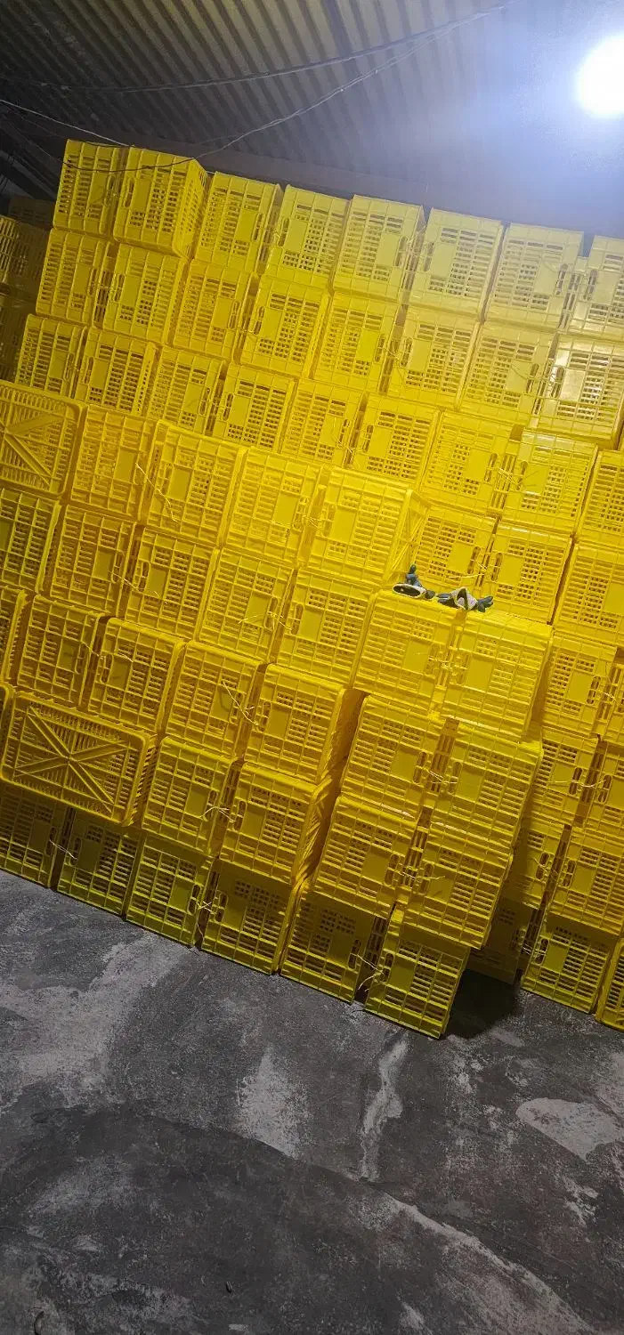 سبد ۲۰ کیلویی درجه ۱ مواداولیه|ظروف نگهدارنده، پلاستیکی، یکبارمصرف|کوهدشت, |دیوار