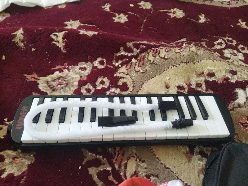 ملودی کا نونو|پیانو، کیبورد، آکاردئون|ایلام, |دیوار