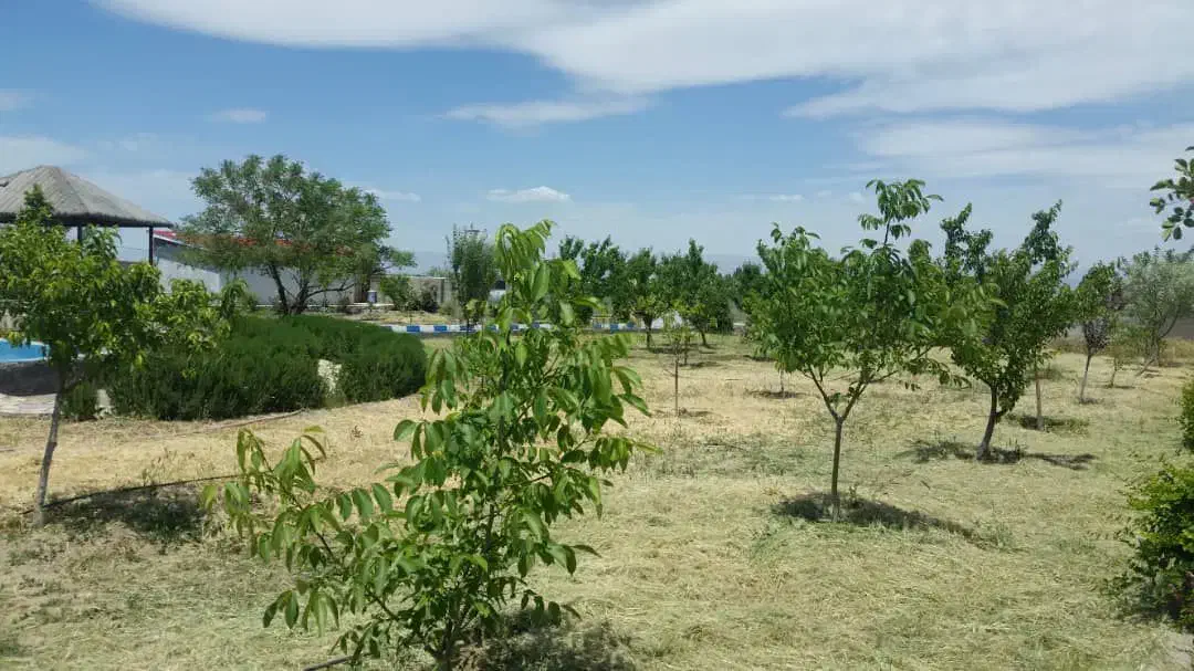 باغ چاه شماره ۲ / ۳۰۰۰ متر|فروش زمین و ملک کلنگی|گلبهار, نوبهار|دیوار