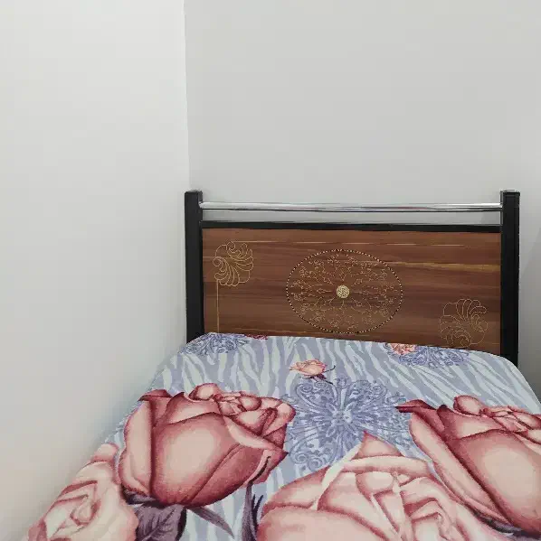 تخت تک نفره|تخت و سرویس خواب|قم, زاویه|دیوار