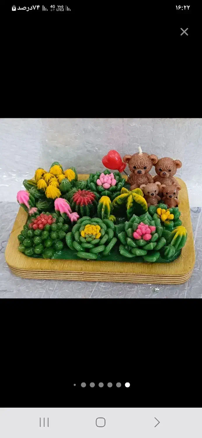 باغچه کاکتوس|کلکسیون و سرگرمی|قم, چهار مردان|دیوار