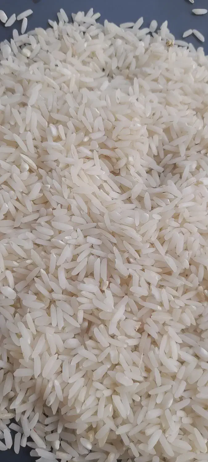 برنج هاشمی درجه یک|خوردنی و آشامیدنی|کوچصفهان, |دیوار