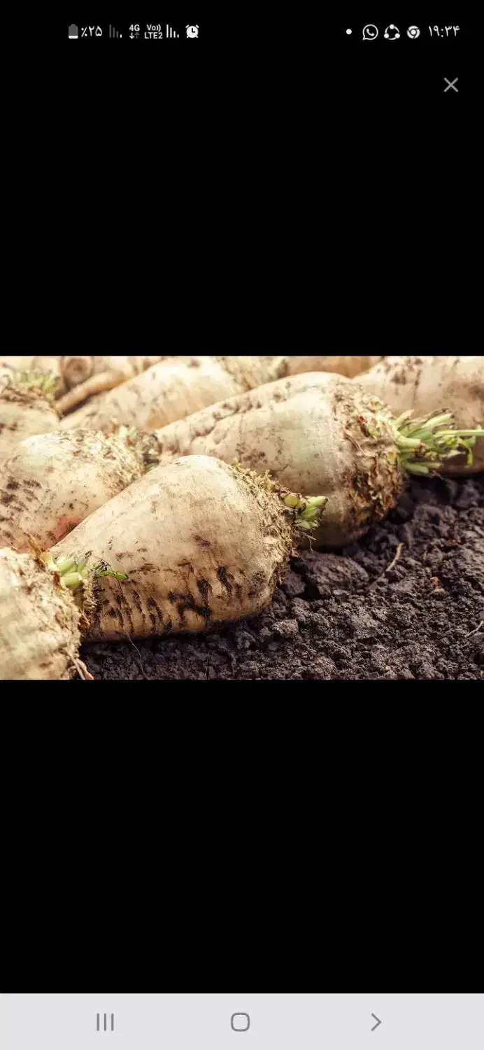 بارگیری|خدمات باغبانی و درختکاری|اسلامآباد غرب, |دیوار