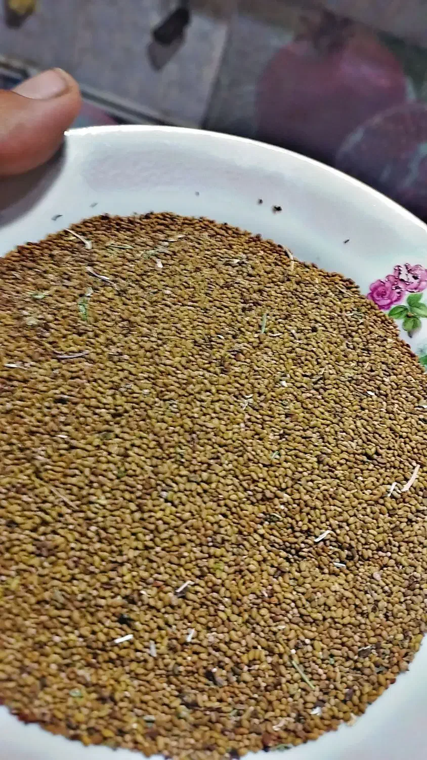 بذر یونجه درجه یک|گل و گیاه طبیعی|چهاربرج, |دیوار