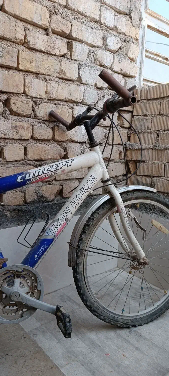 دوچرخه ۲۴|دوچرخه، اسکیت، اسکوتر|مرودشت, علیآباد|دیوار