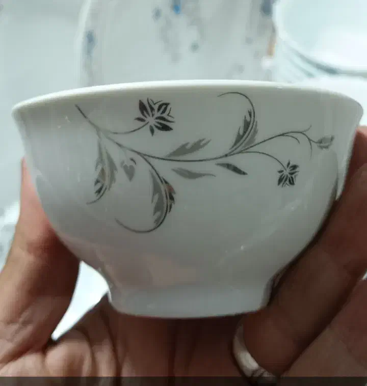 چینی|ظروف سرو و پذیرایی|بیرجند, |دیوار