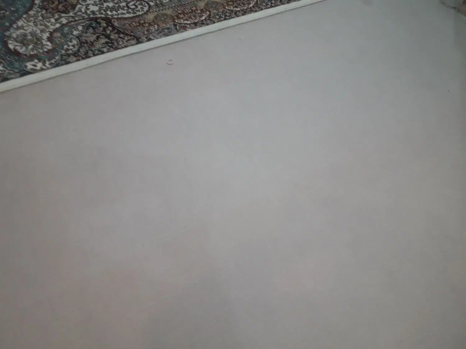 موکت ظریف مصور جنس خوب،|موکت|دوگنبدان, |دیوار