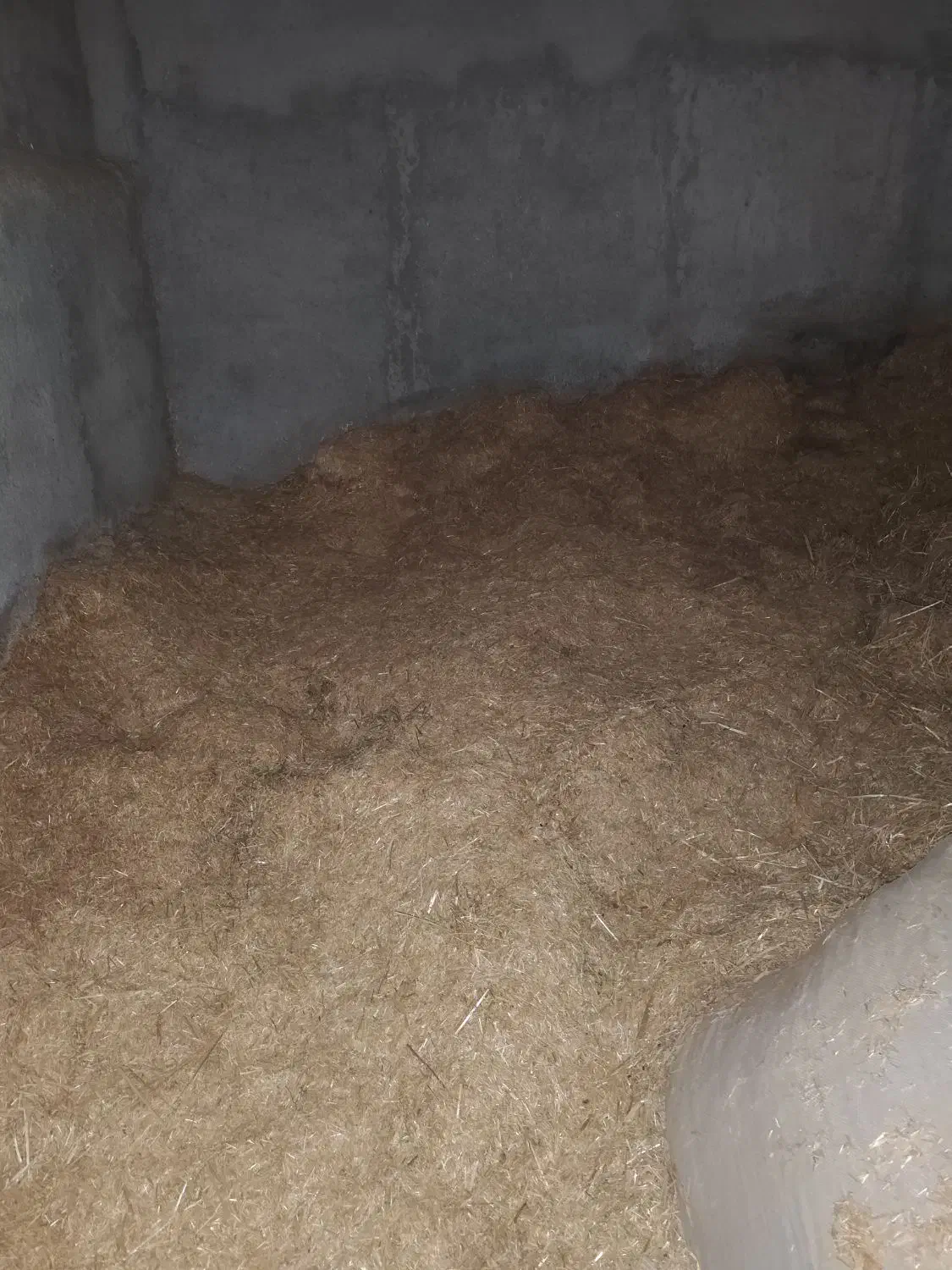 کاه یونجه علف|لوازم جانبی حیوانات|بشاریات, |دیوار