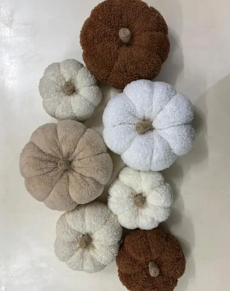 کدو تدی تنبل|صنایع دستی و سایر لوازم تزئینی|نظرآباد, رسالت|دیوار