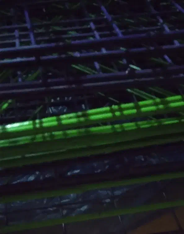 قفسه فلزی|کتابخانه، شلف، قفسه‌های دیواری|کرمان, |دیوار