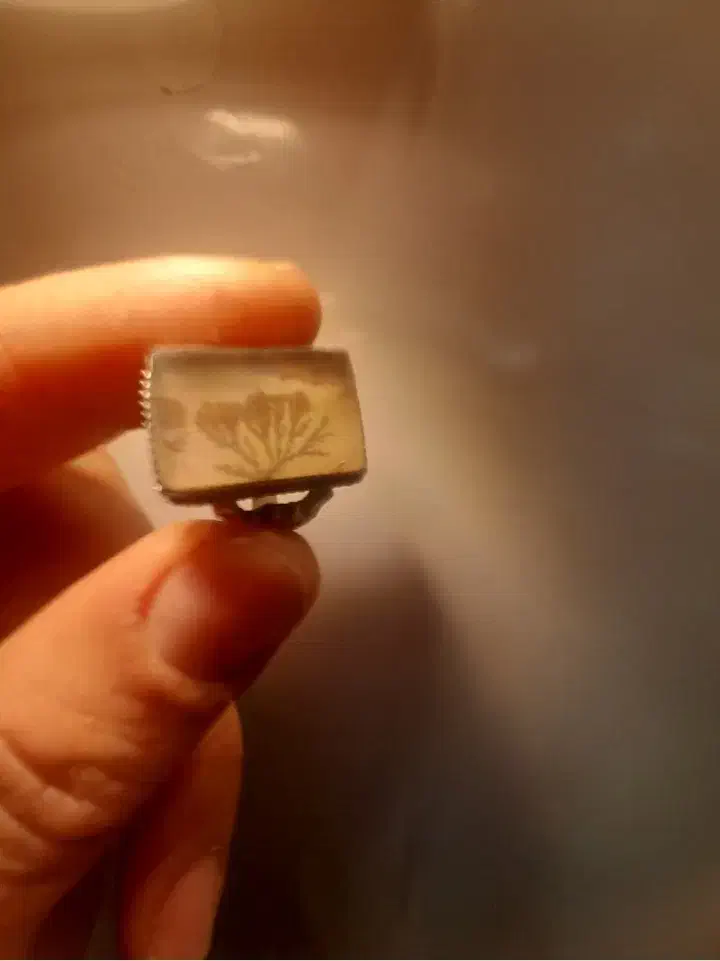 انگشتره نقره|جواهرات|شاهین‌شهر, شهرک گلدیس|دیوار