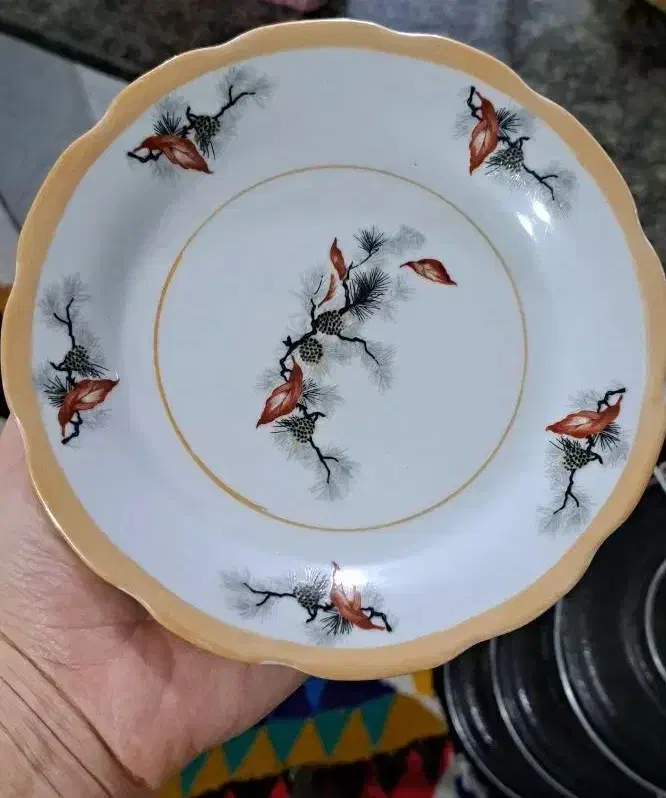 ظروف چینی گل کاجی|ظروف سرو و پذیرایی|معمولان, |دیوار