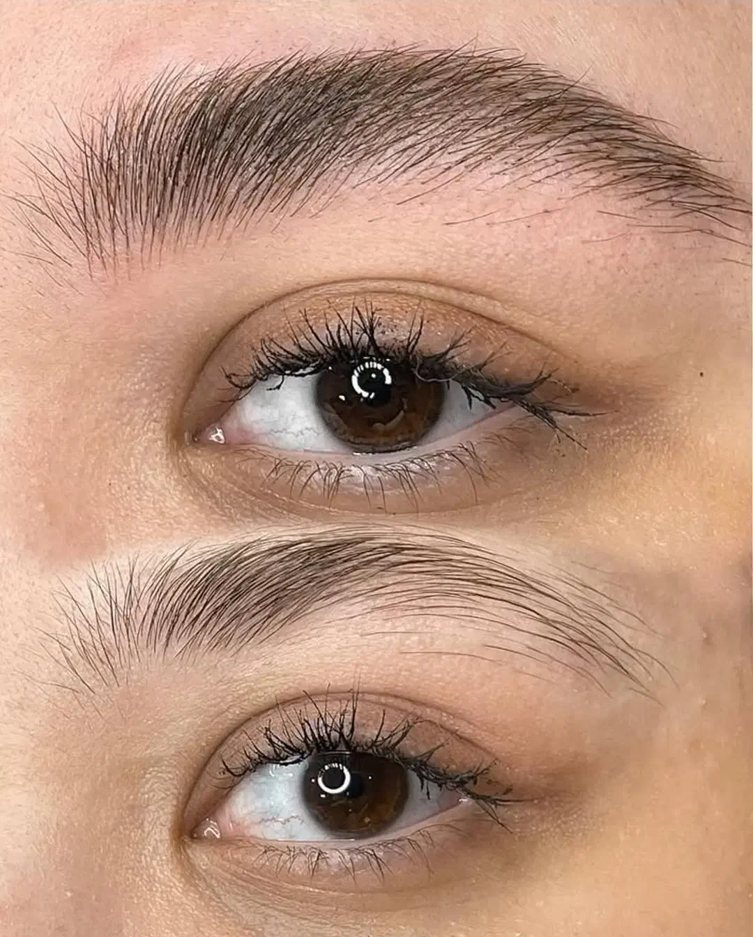 مدل رایگان ابرو|خدمات آرایشگری و زیبایی|تبریز, |دیوار