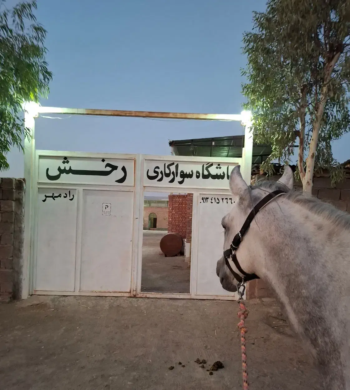 پانسیون و خدمات نگهداری اسب|اسب و تجهیزات اسبسواری|رفسنجان, |دیوار