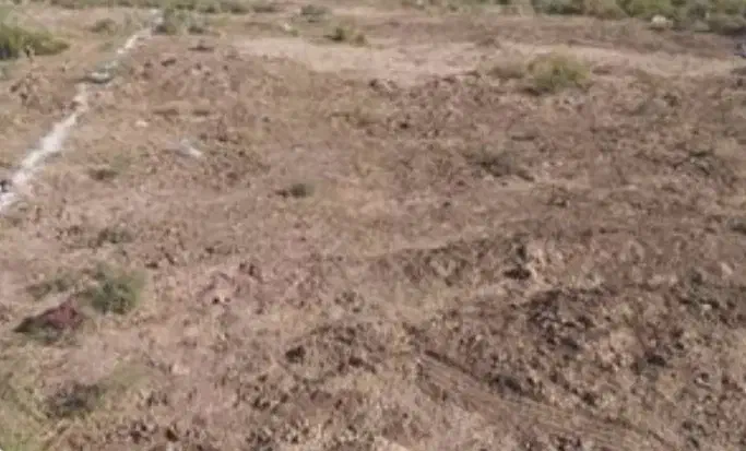 زمین|فروش زمین و ملک کلنگی|ریگان, |دیوار