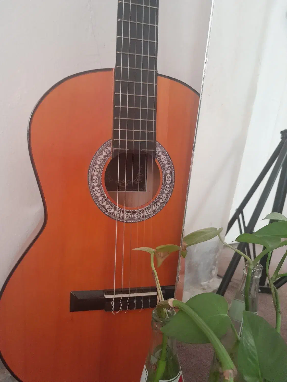 گیتار آنتنیو سِزار|گیتار، بیس، امپلیفایر|نجف‌آباد, فیروزآباد|دیوار