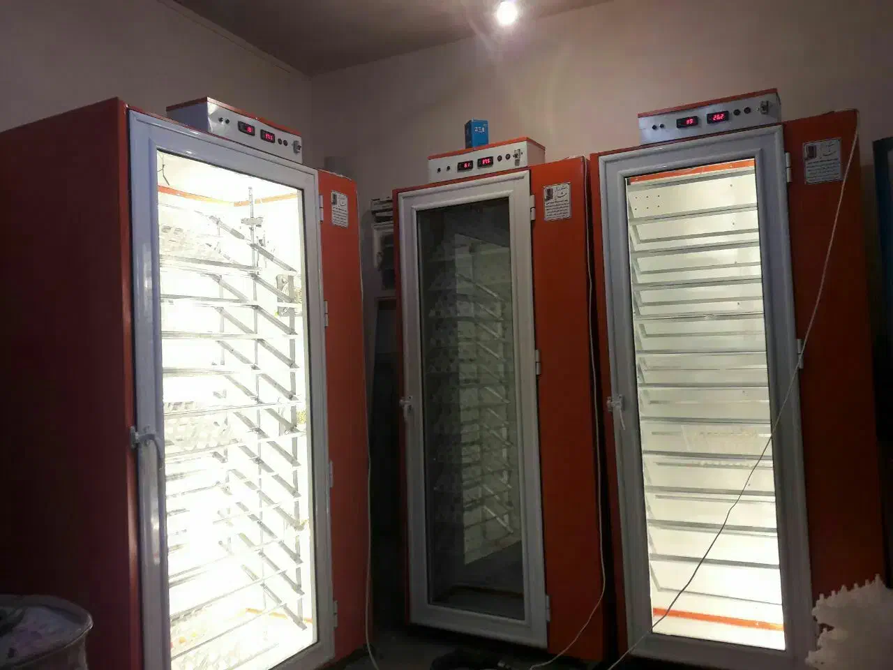 دستگاه جوجه کشی تمام اتوماتیک|لوازم جانبی حیوانات|سنندج, |دیوار