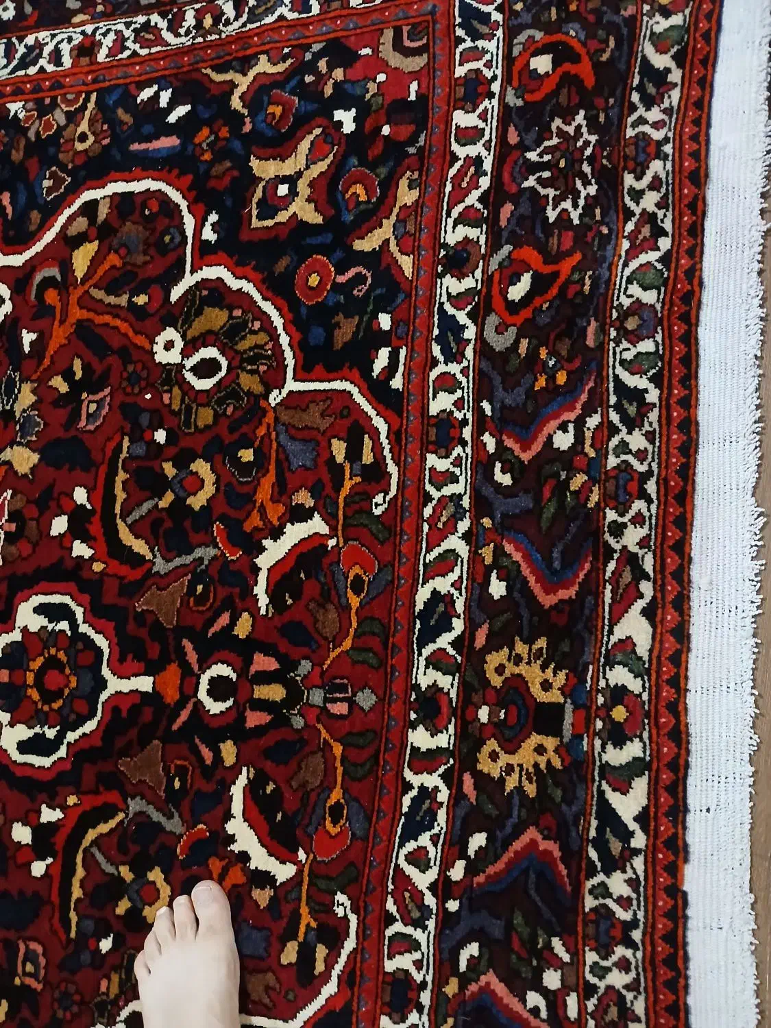 بختیار گوشتدار شور رفته|فرش|کرج, ساسانی (قلمستان)|دیوار