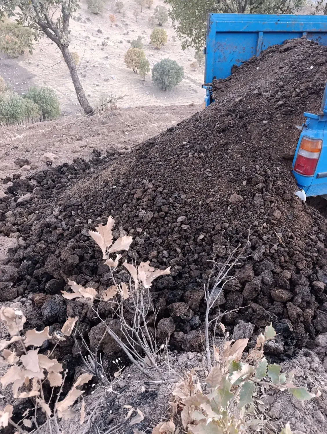 کود حیوانی|خدمات باغبانی و درختکاری|کوهدشت, |دیوار