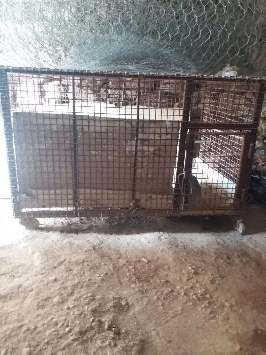 پله آهنی دوازده پله وفنس تمام آهن چرخ دار|مصالح و تجهیزات ساختمان|کارزان, |دیوار