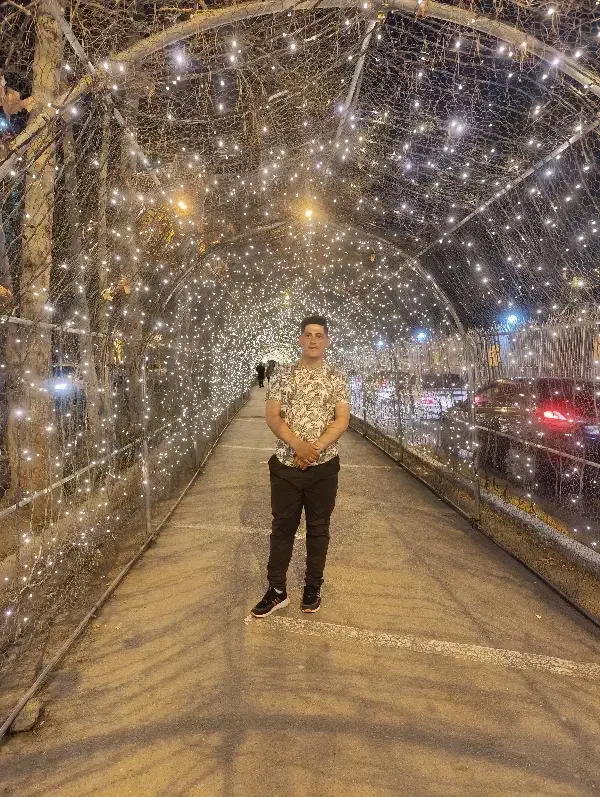 مدارک گم شده|اشیا|کنگاور, |دیوار