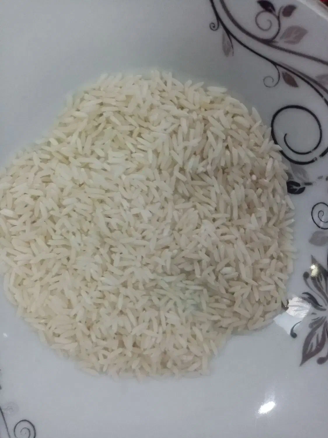 برنج|خوردنی و آشامیدنی|املش, |دیوار