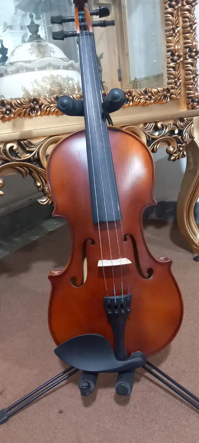 ویلن. maxtor|ویولن|تبریز, |دیوار