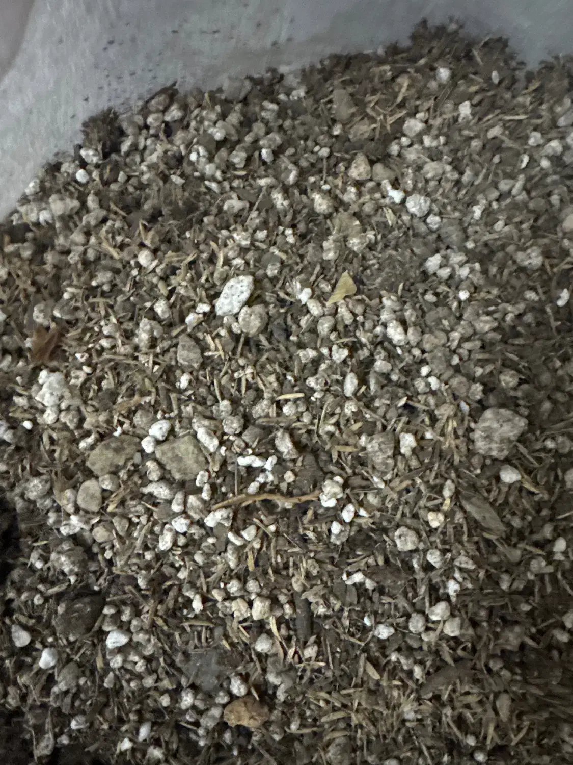 خاک گل و گلدان|گل و گیاه طبیعی|کرج, حسینآباد|دیوار