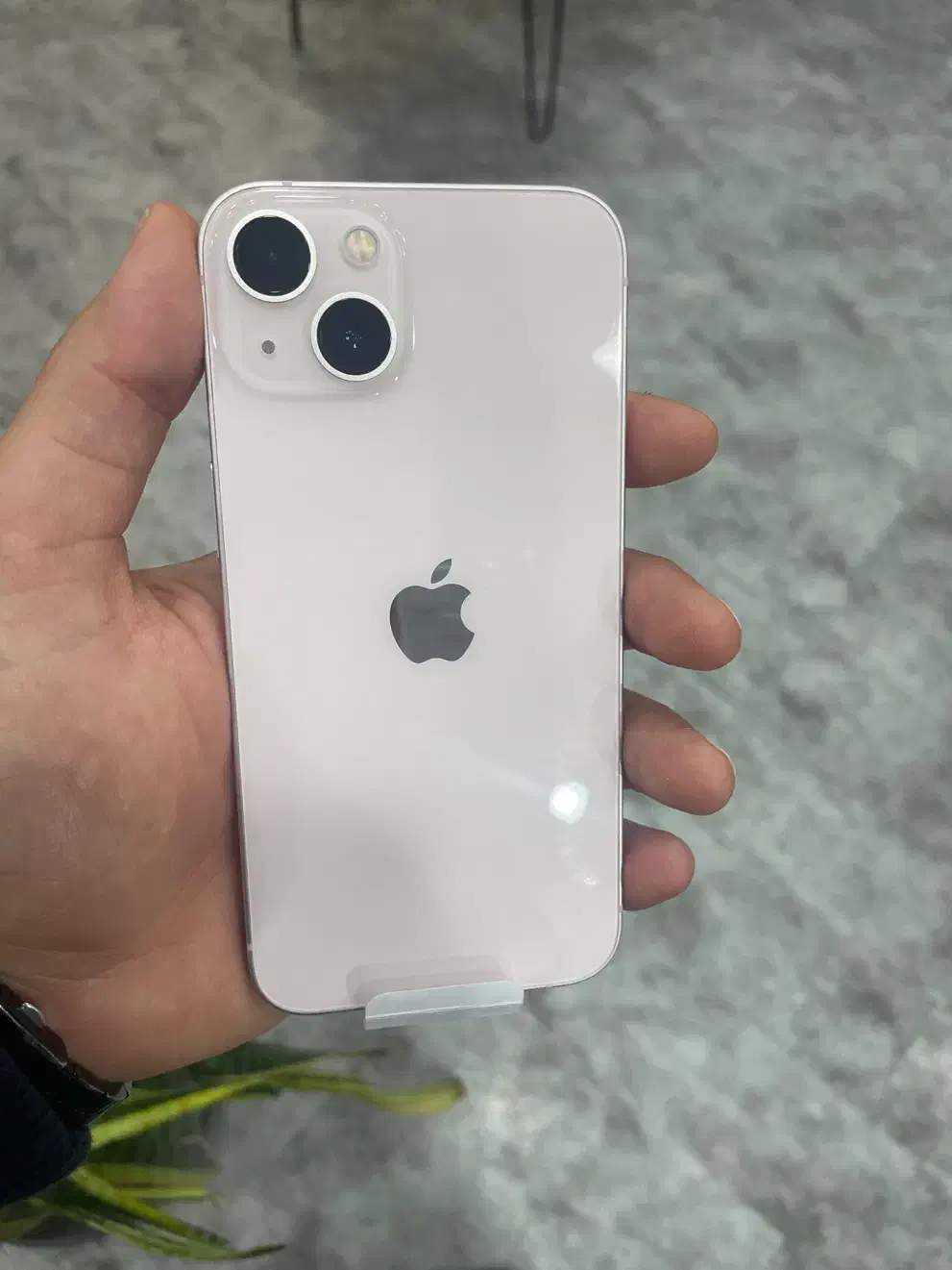 آیفون ۱۳ نرمال ۱۲۸ گیگ اکتیو پلم بدون ریجستر|موبایل|شیراز, قالیشویی|دیوار