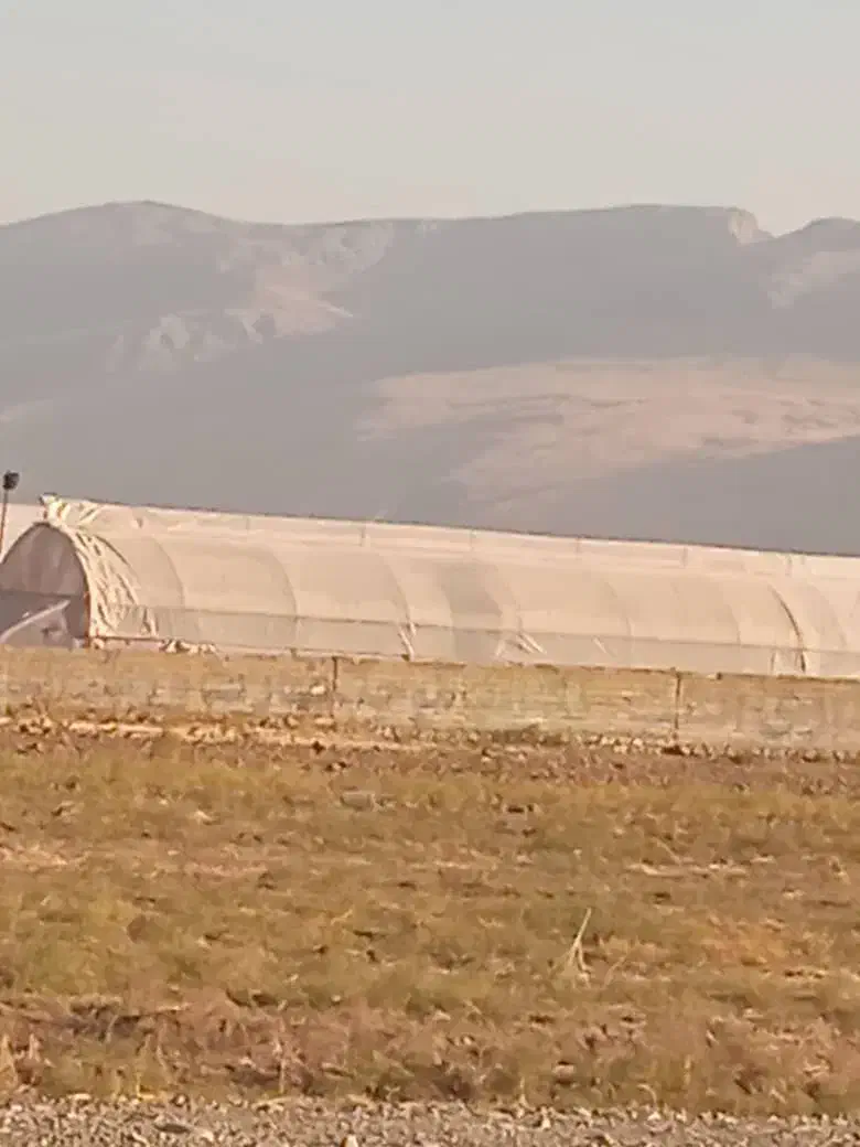 زمین گلخانه|فروش دفتر صنعتی، کشاورزی، تجاری|کرج, مهرویلا جنوبی|دیوار