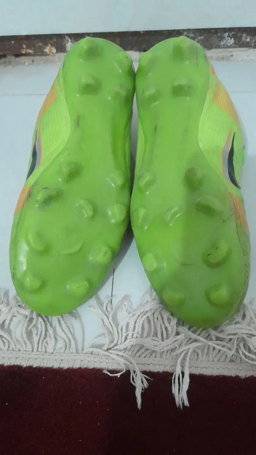 کفش چمن|کیف، کفش، کمربند|نیشابور, هفده شهریور|دیوار