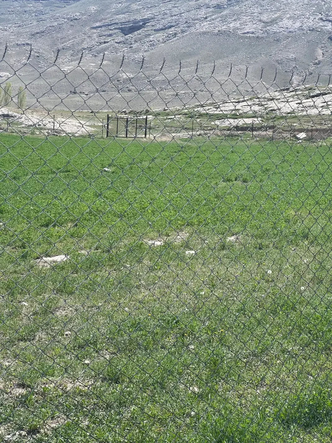 زمین کشاورزی|فروش دفتر صنعتی، کشاورزی، تجاری|ماکو, |دیوار