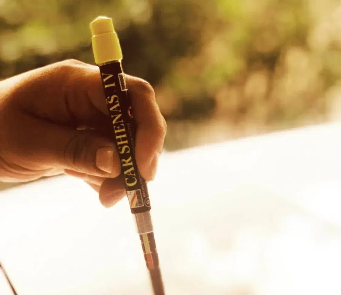 قلم تشخیص رنگشدکی خودرو|قطعات یدکی و لوازم جانبی|نوشهر, |دیوار