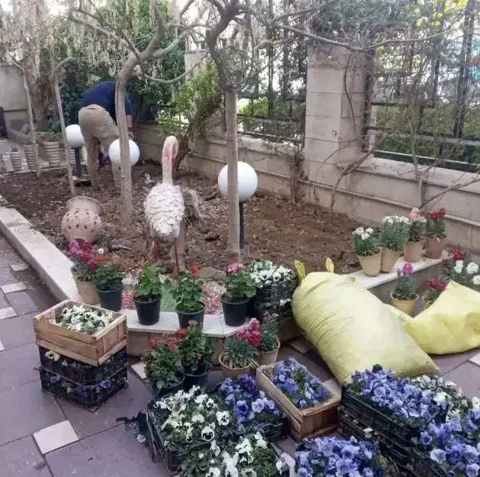باغبانی هرس درخت گل ،چمن،سم پاشی،کودضمانت باغبان|خدمات باغبانی و درختکاری|کرج, گلشهر|دیوار