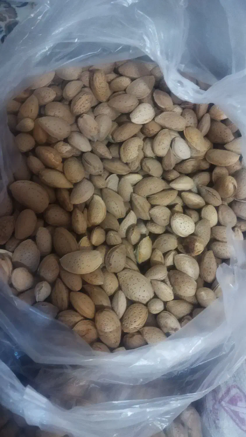 بادام شیرین|خوردنی و آشامیدنی|قم, انسجام|دیوار