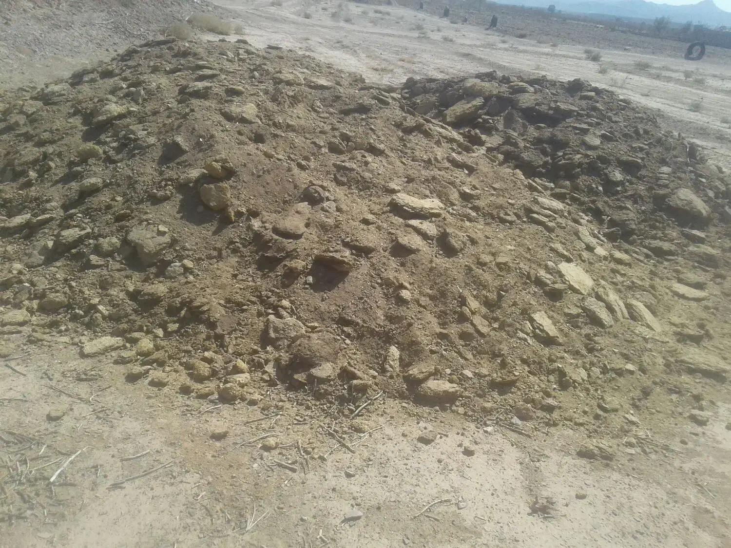 کودگوسفندی فروشی|لوازم جانبی حیوانات|فردوس (خراسان), |دیوار