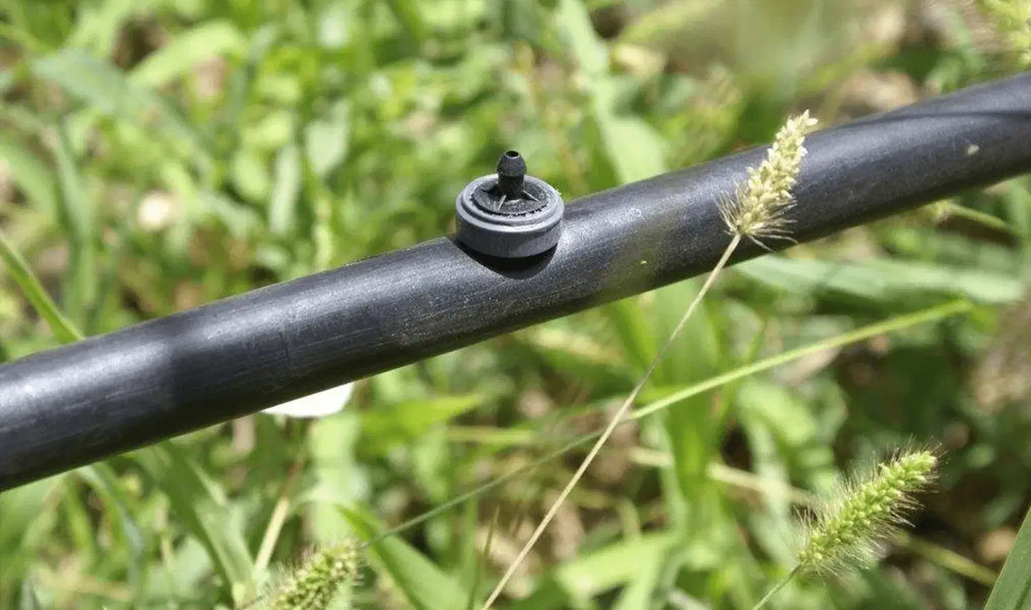 آبیاری قطره ای ،مه پاش و گرین وال|خدمات باغبانی و درختکاری|تهران, یوسفآباد|دیوار