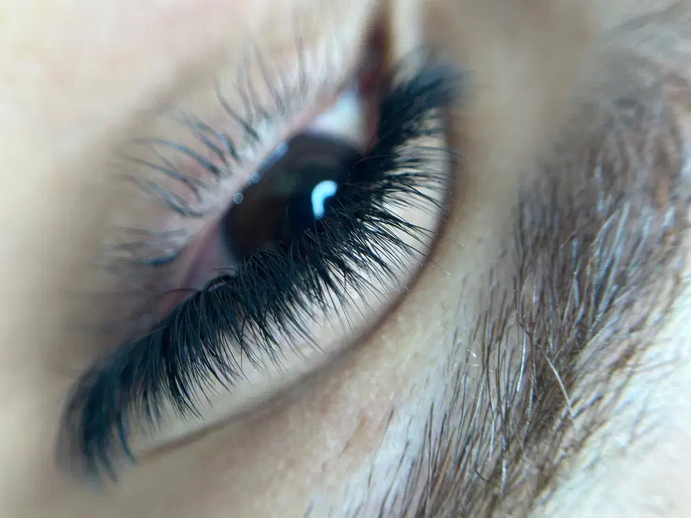 خدمات و آموزش تخصصی اکستنشن و لیفت مژه و ابرو|خدمات آرایشگری و زیبایی|آمل, |دیوار