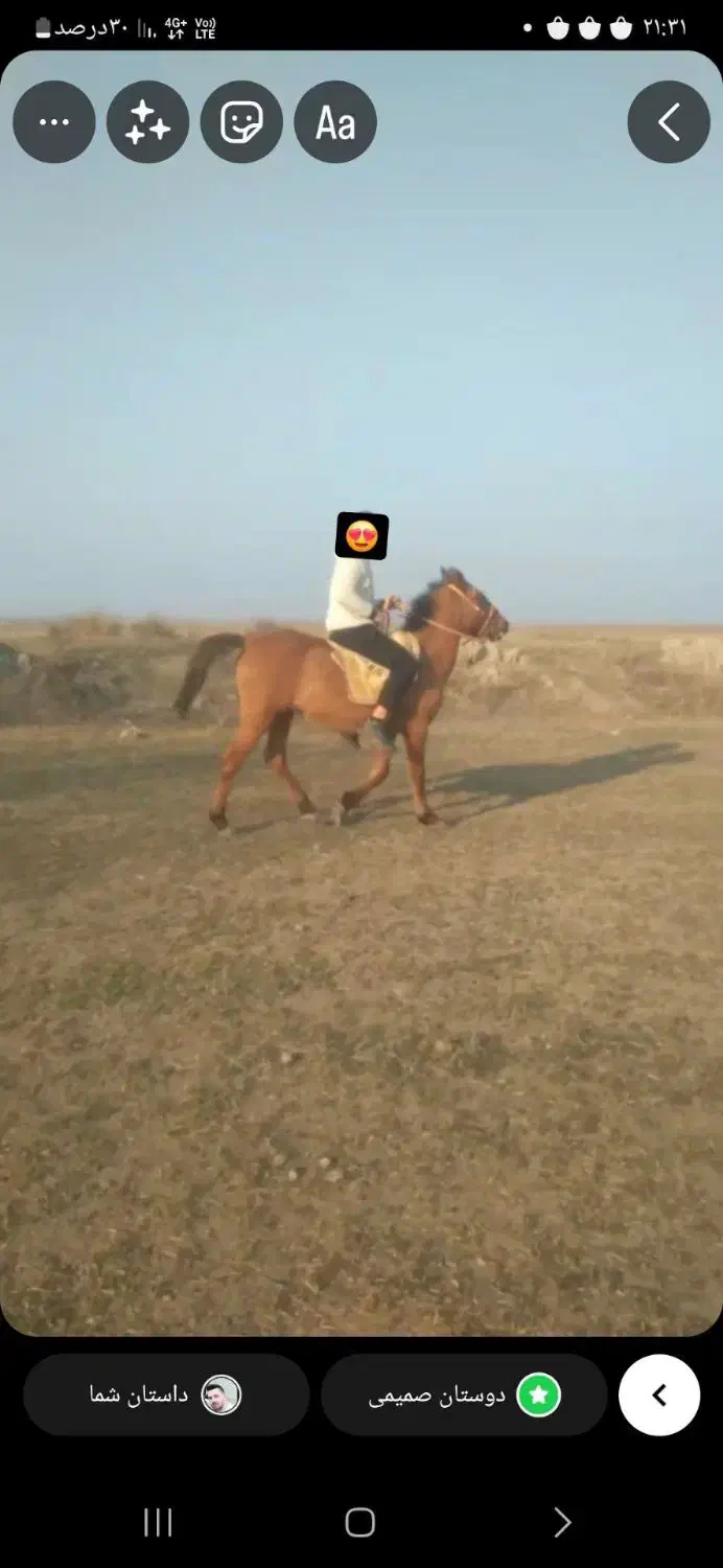 دوعدد اسب عالی جهت برکت|اسب و تجهیزات اسب‌سواری|پارس‌آباد, |دیوار